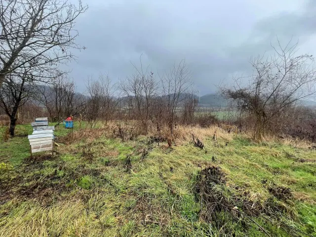 No.9 Mountain View End - Opaka - thumbnail 20