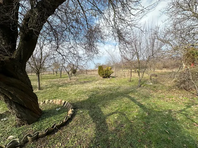Sunrise Lodge - Berkovski - thumbnail 15