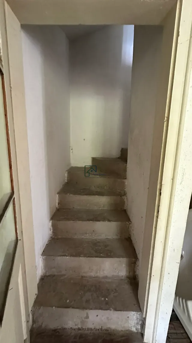 Wren House - Polski Senovets - thumbnail 5