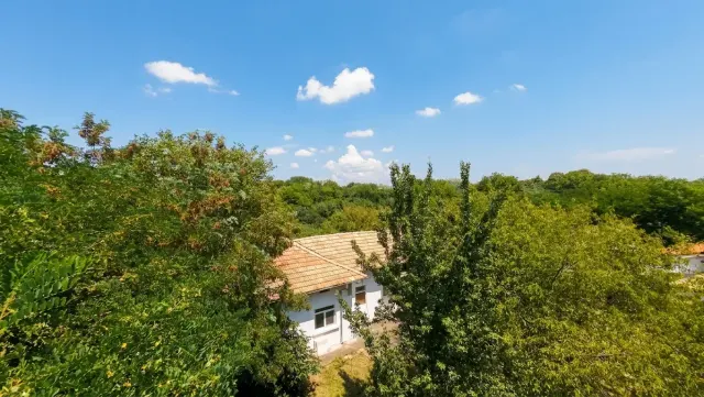 Cherry Tree Cottage - Palamartsa - thumbnail 15