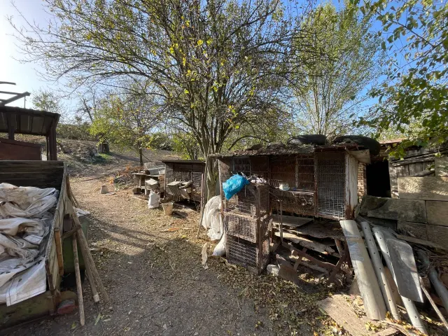 Mason Farmhouse - Blagoevo - thumbnail 11