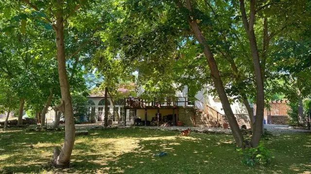 Mimosa House - Lescheri - thumbnail 34