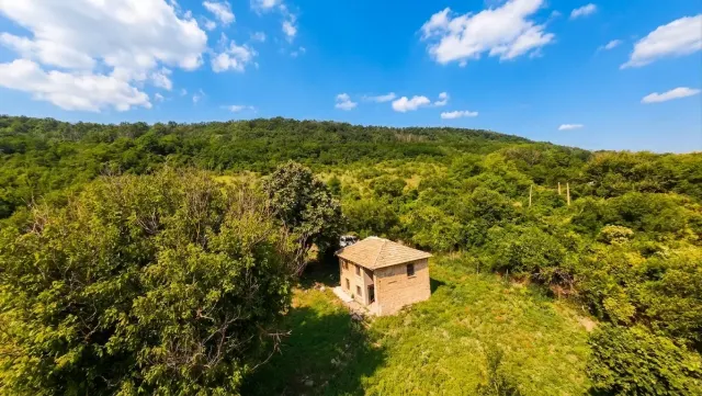 Woodland Edge Cottage - Sadina - thumbnail 15