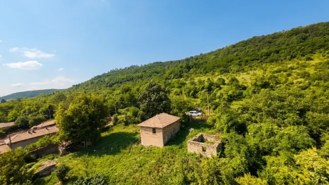 Woodland Edge Cottage - Sadina - thumbnail 22