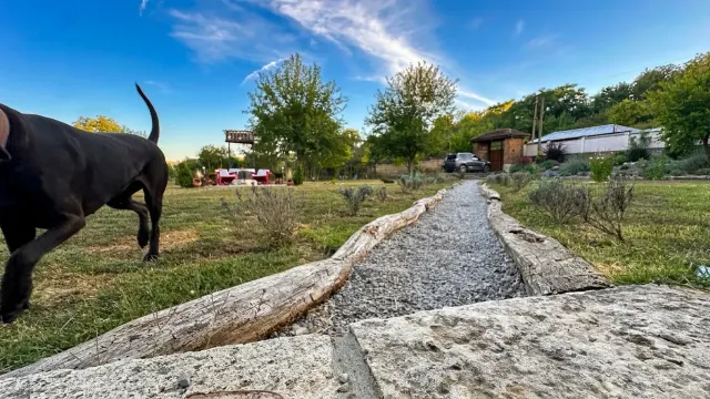 Ravine Retreat - Katselovo - thumbnail 52