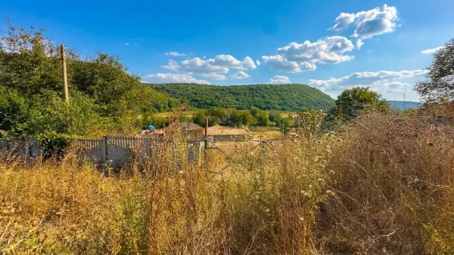 Lisi Vrah Campsite & Houses - thumbnail 31