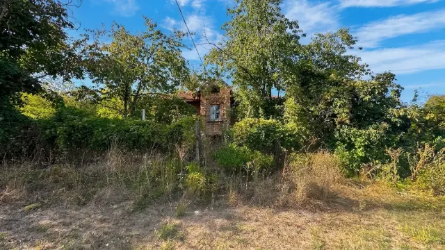 Lisi Vrah Campsite & Houses - thumbnail 32