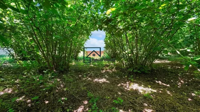 Hazelnut House - Mogilino - thumbnail 3
