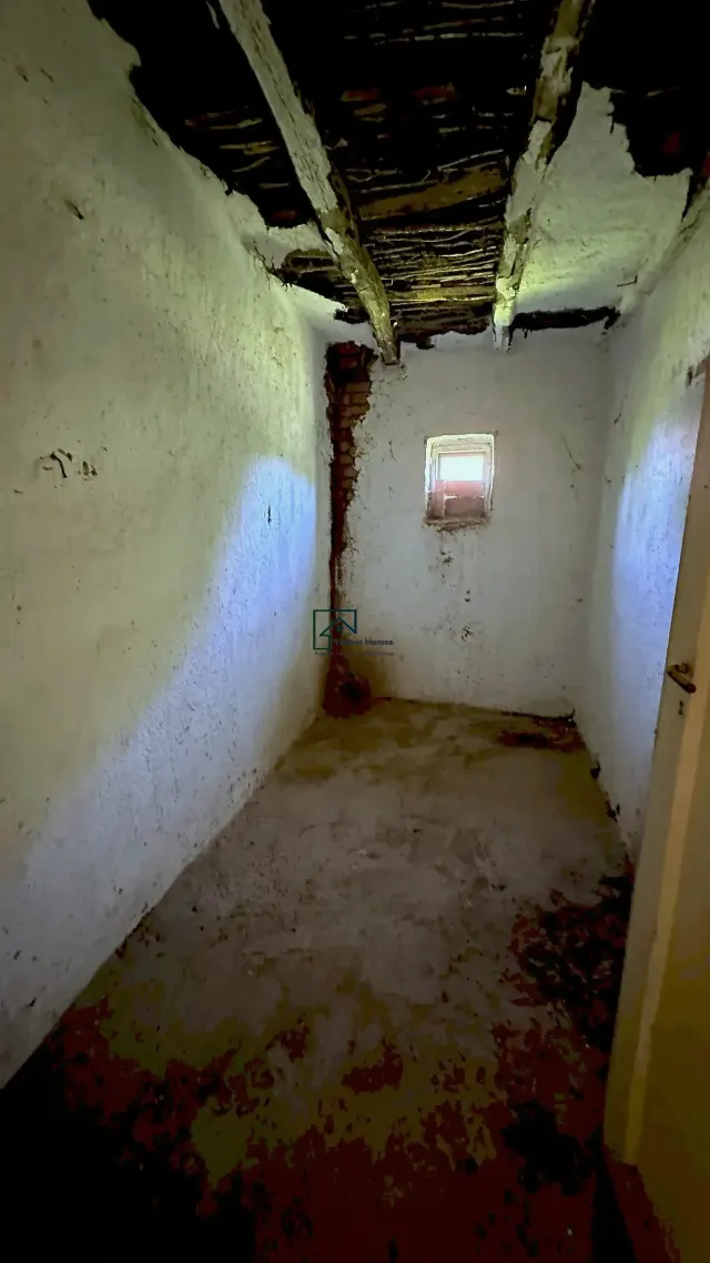 Hazelnut House - Mogilino - thumbnail 15