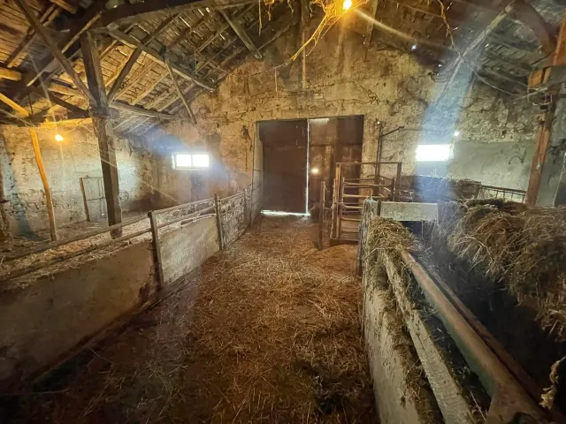 Savannah Farm - Svetlen in Svetlen