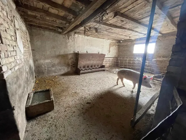 Savannah Farm - Svetlen - thumbnail 11