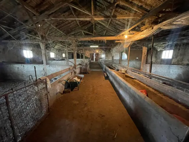 Savannah Farm - Svetlen - thumbnail 17