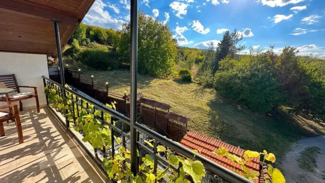 Hillside Mansion - Pushevo - thumbnail 16