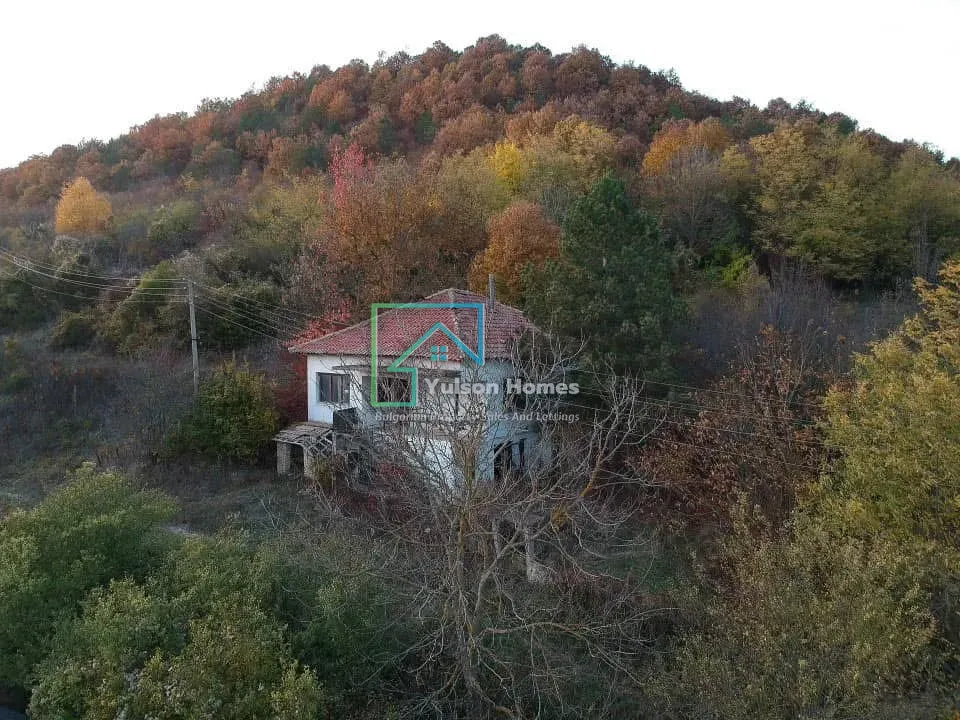 Forest View House - Marchino - photo 1