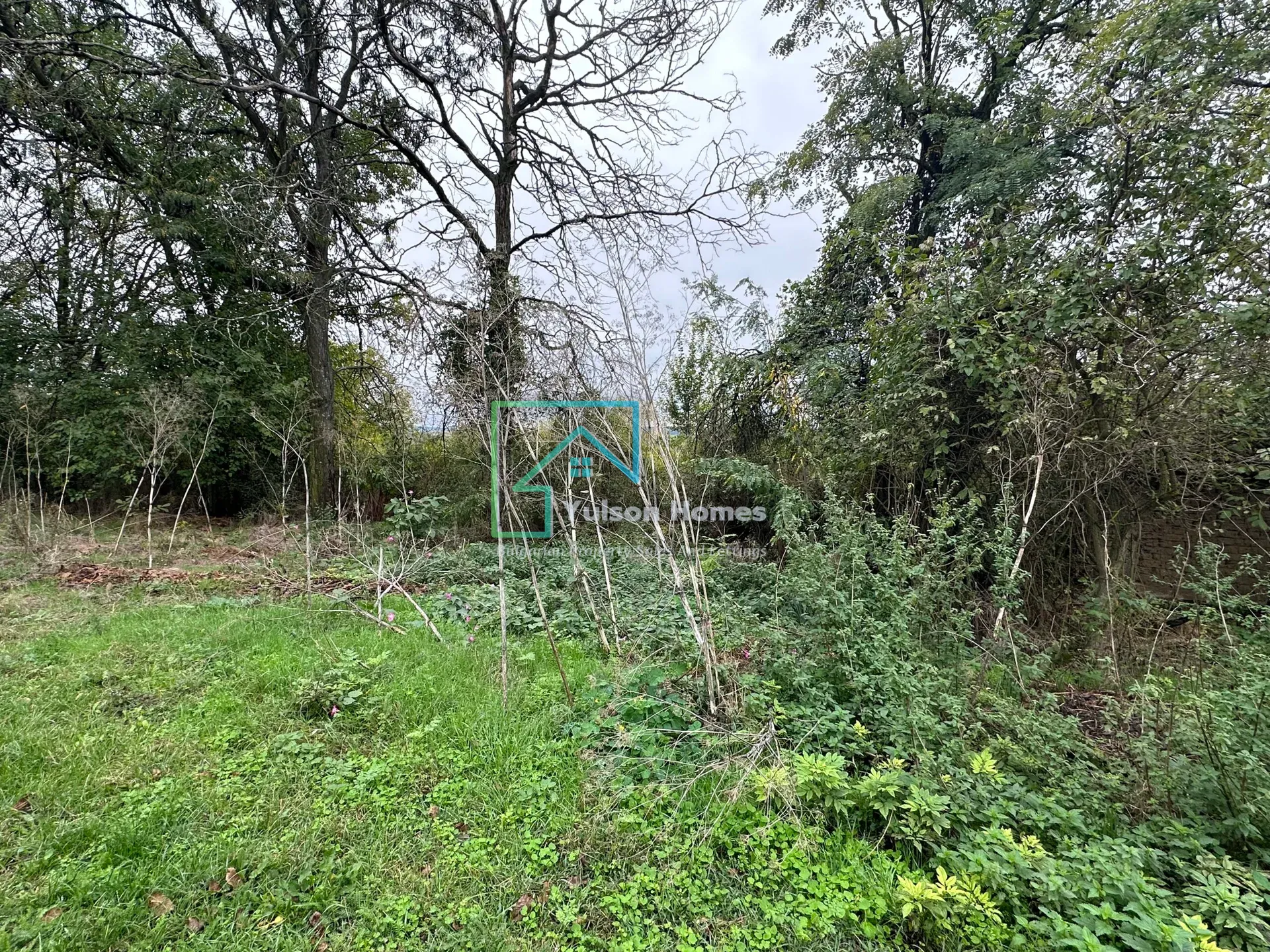 Whispering Woodland Retreat - Lomtsi - photo 1