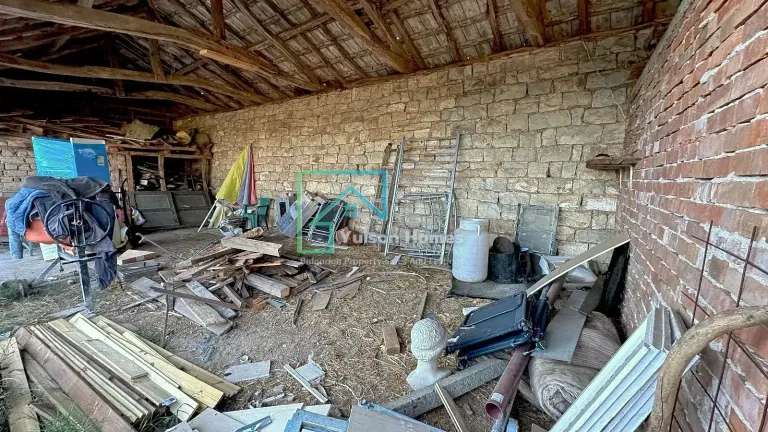 Malinois House - Mogilino - thumbnail 28