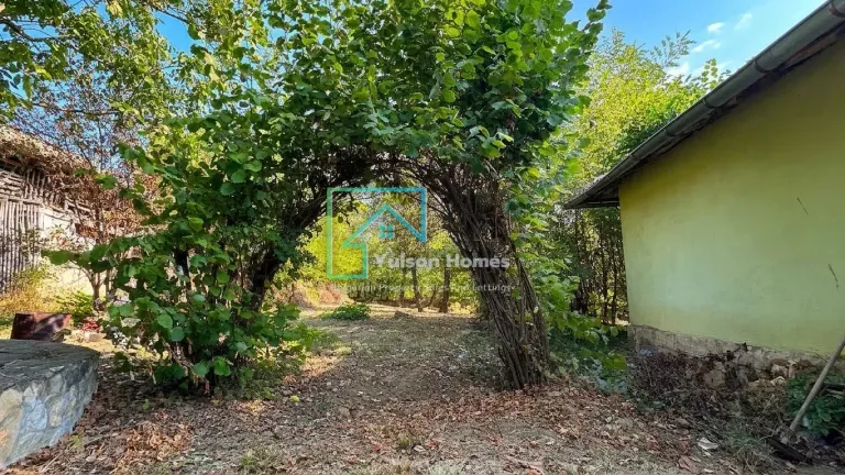 Alex's House - Voditsa - thumbnail 9