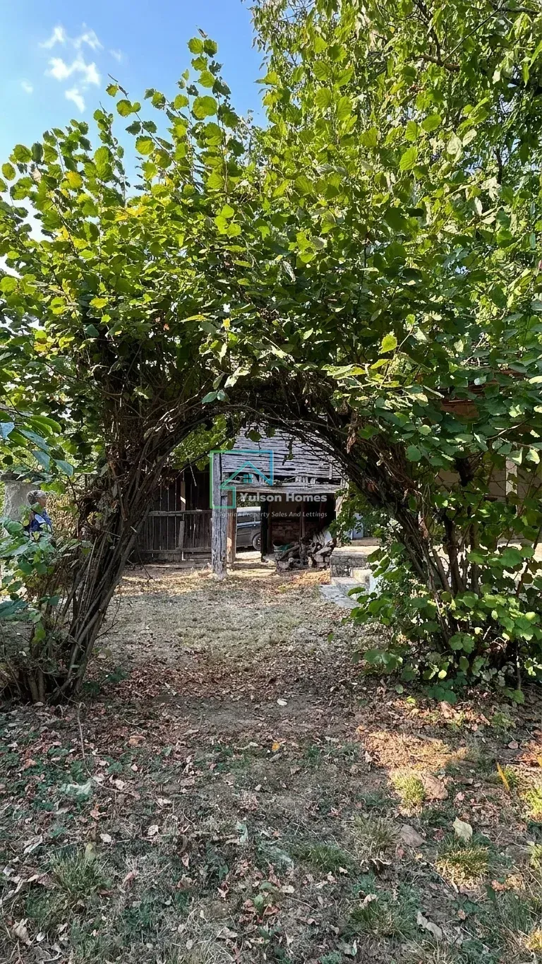 Alex's House - Voditsa - thumbnail 16