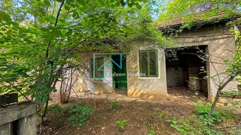 Jungle House - Kamenets - thumbnail 2