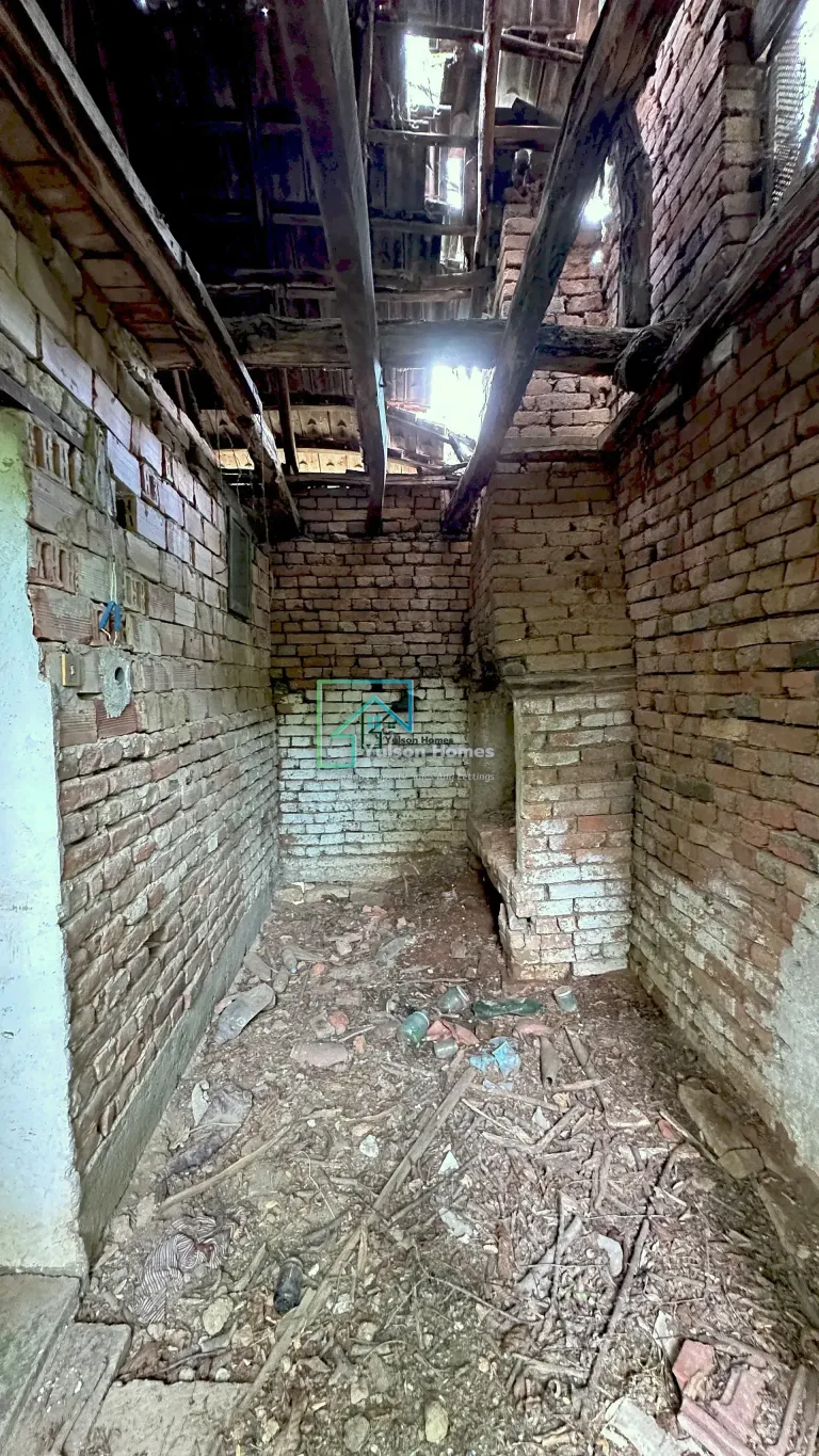 Jungle House - Kamenets - thumbnail 8