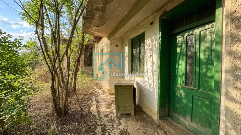 Jungle House - Kamenets - thumbnail 10