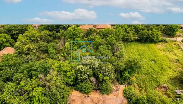 Jungle House - Kamenets - thumbnail 14