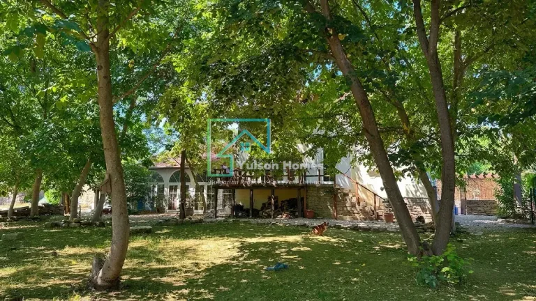 Mimosa House - Lescheri - thumbnail 34