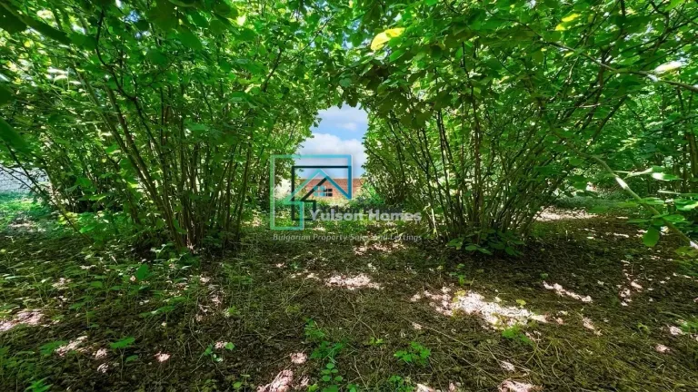 Hazelnut House - Mogilino - thumbnail 3