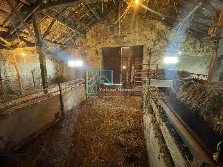 Savannah Farm - Svetlen in Svetlen