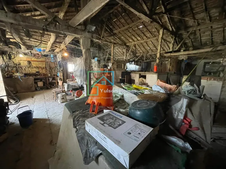 Savannah Farm - Svetlen - thumbnail 6