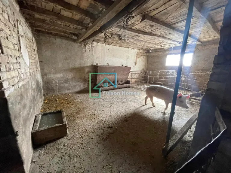 Savannah Farm - Svetlen - thumbnail 11