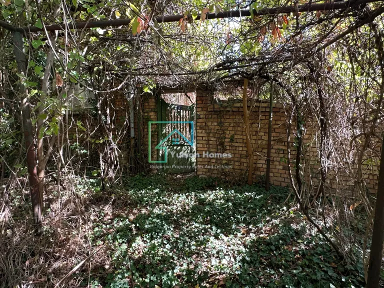 The Daisy House - Peychinovo - thumbnail 2