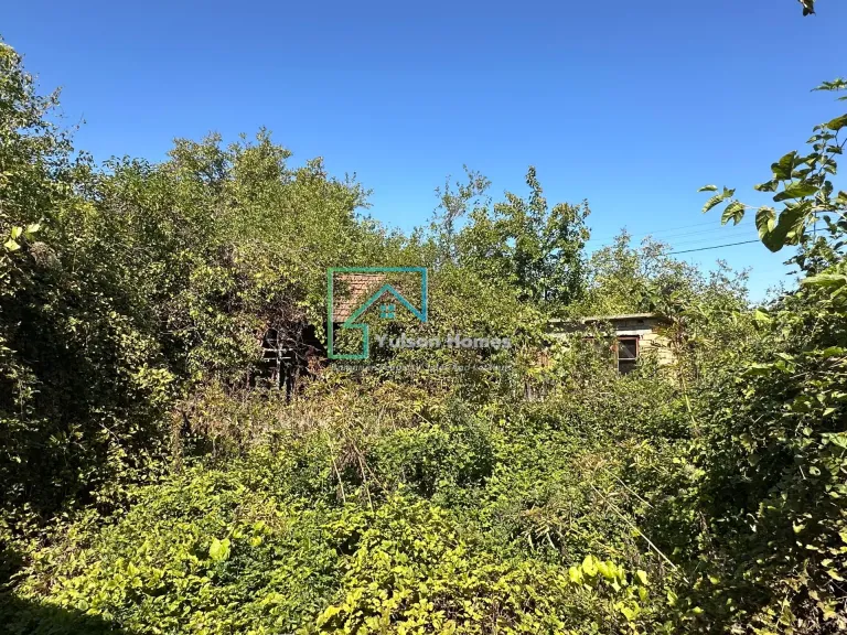 The Daisy House - Peychinovo - thumbnail 12