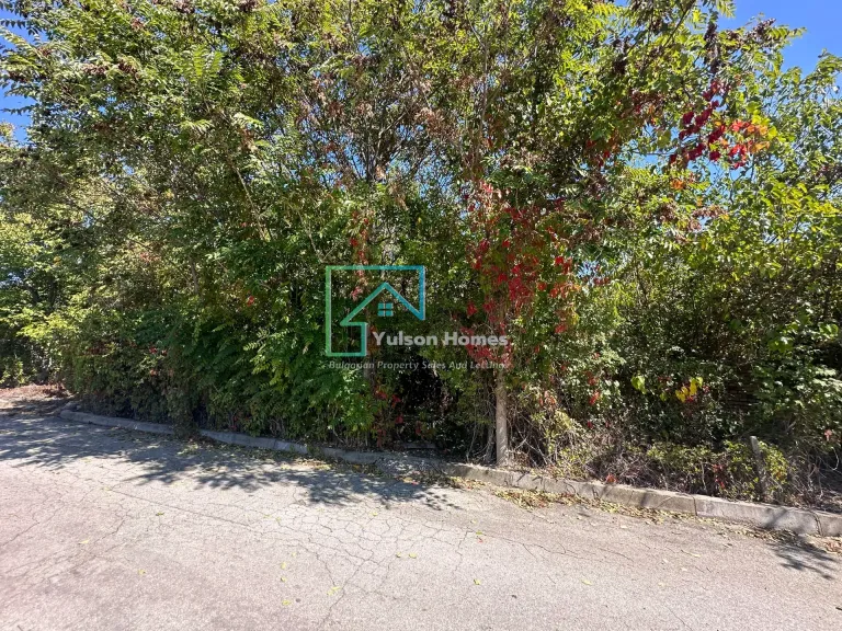 The Daisy House - Peychinovo - thumbnail 14