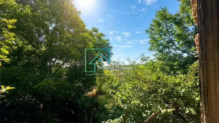 Honeysuckle House - Palamartsa - thumbnail 12