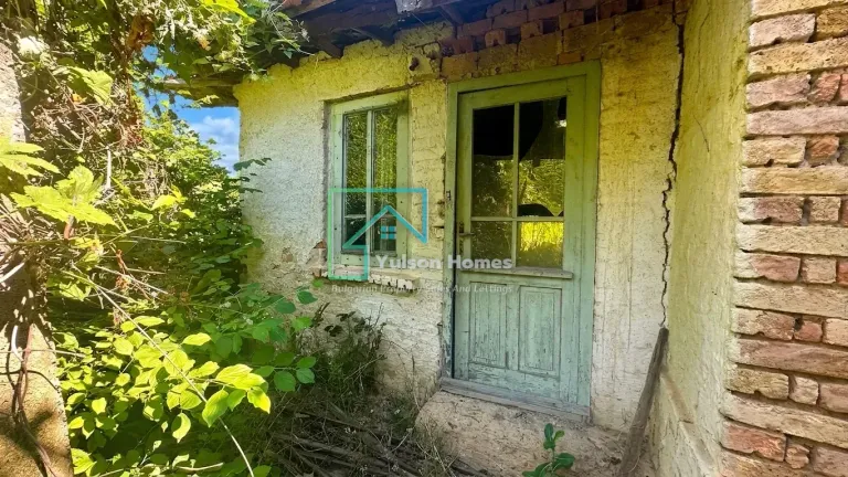 Honeysuckle House - Palamartsa - thumbnail 14