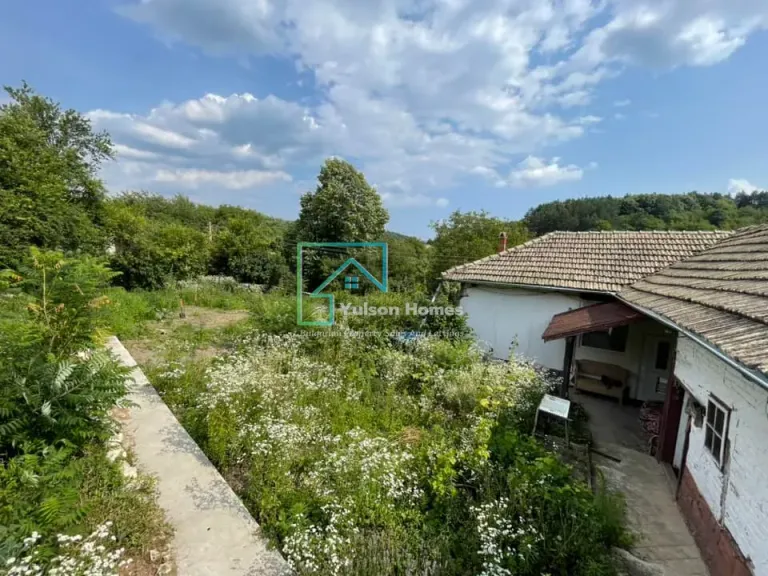 Whitegate - Osikovo - thumbnail 7