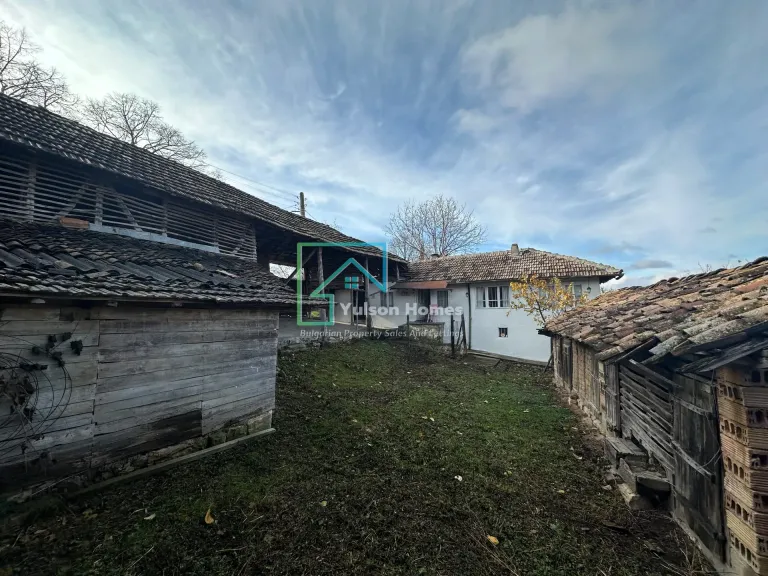 Baba Nikitas - Osikovo - thumbnail 8