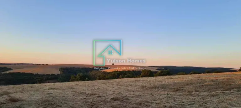 Clover House - Tsar Asen - thumbnail 2