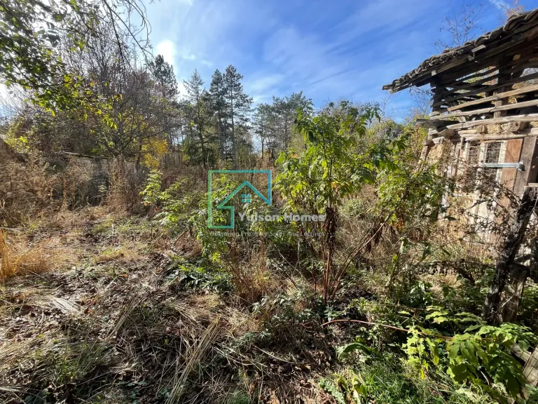 The Bungalow - Berkovski - thumbnail 19