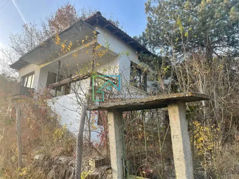 Forest View House - Marchino - thumbnail 2