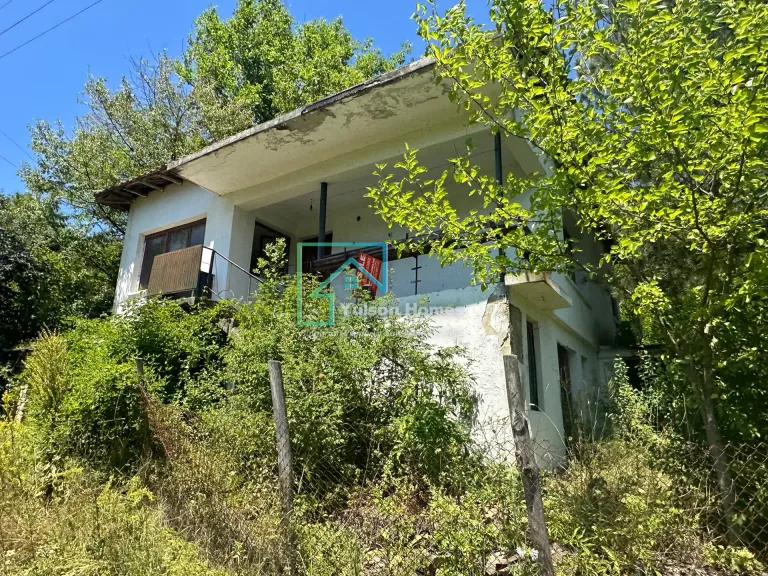 Forest View House - Marchino - thumbnail 8