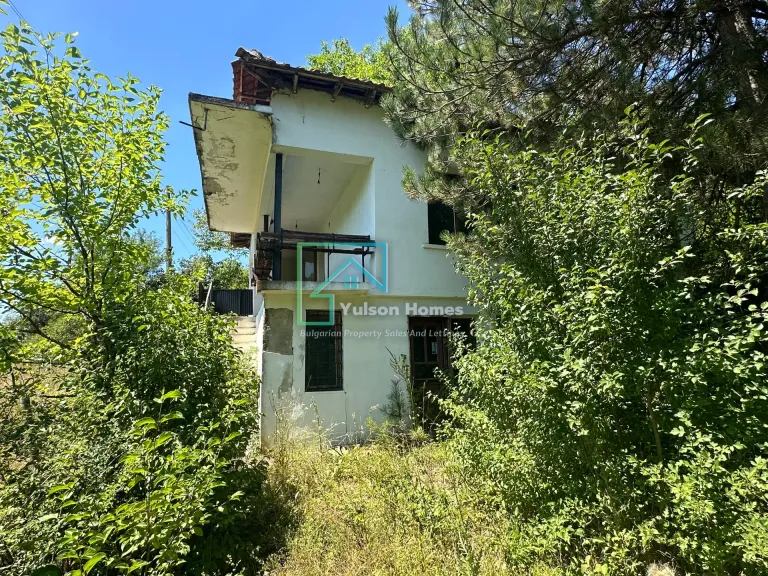 Forest View House - Marchino - thumbnail 9