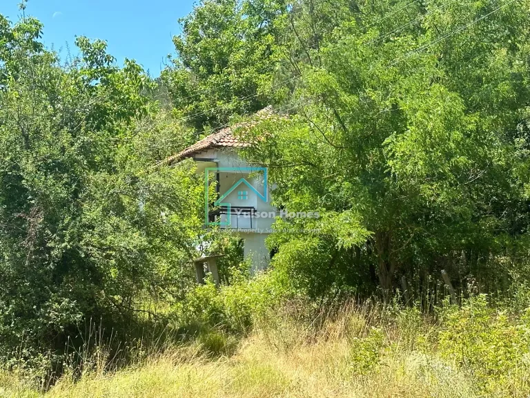 Forest View House - Marchino - thumbnail 20