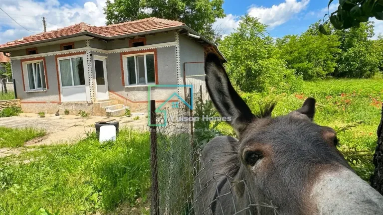 Ass House - Obedinenie - thumbnail 1