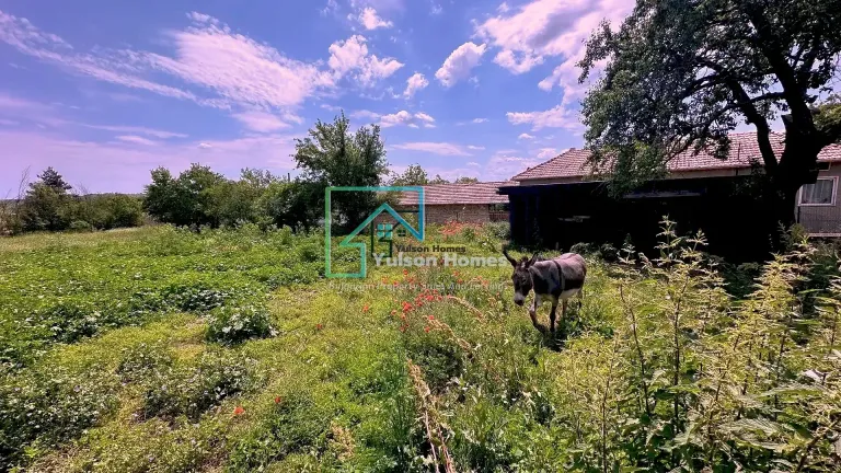 Ass House - Obedinenie - thumbnail 11