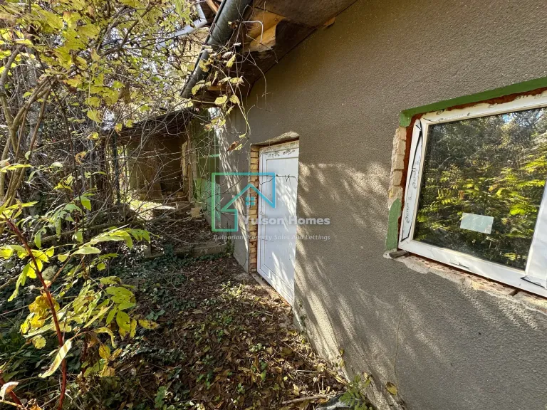 Shrubbery House - Tsar Asen in Tsar Asen