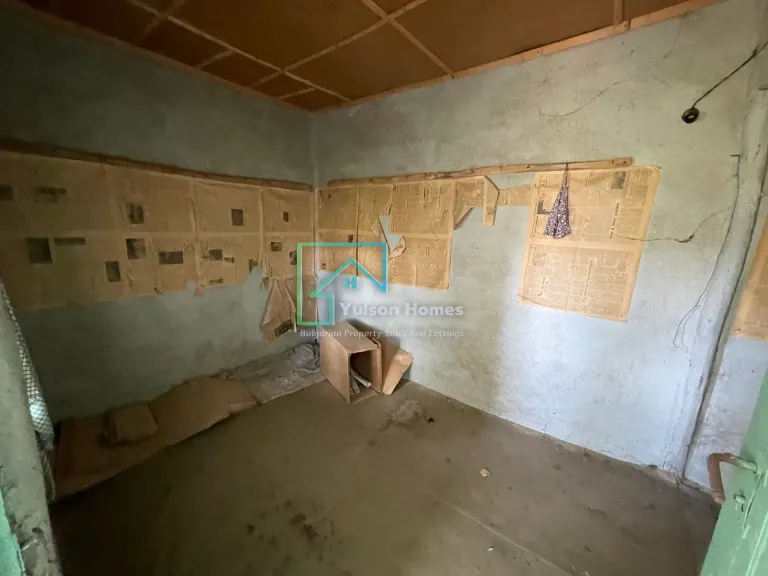 Tiki House - Sadina - thumbnail 11