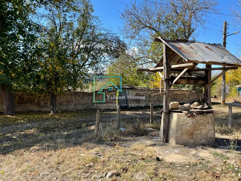 Tiki House - Sadina - thumbnail 13