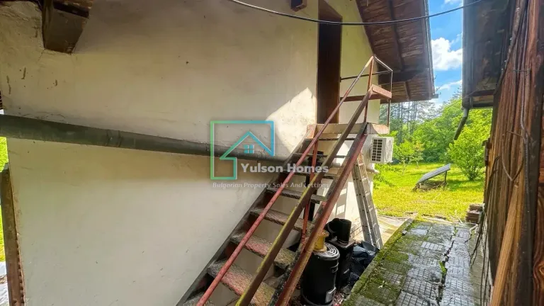 Forest Corner - Lovech - thumbnail 11